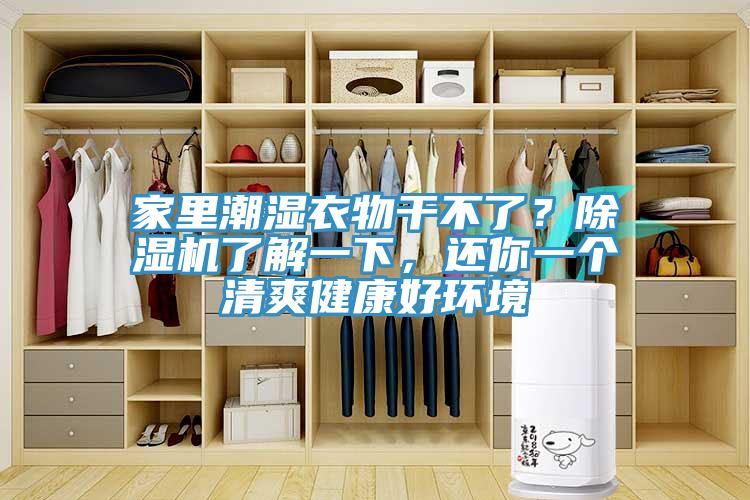 家里潮濕衣物干不了？除濕機(jī)了解一下，還你一個(gè)清爽健康好環(huán)境