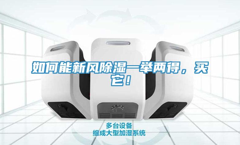 如何能新風(fēng)除濕一舉兩得，買它！