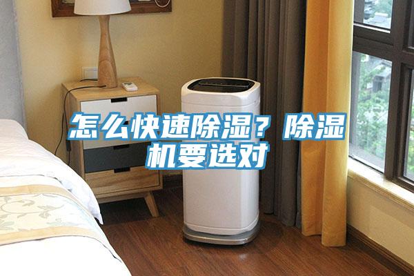 怎么快速除濕？除濕機(jī)要選對(duì)