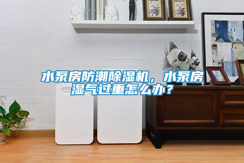 水泵房防潮除濕機(jī)，水泵房濕氣過重怎么辦？