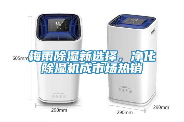 梅雨除濕新選擇，凈化除濕機(jī)成市場(chǎng)熱銷(xiāo)