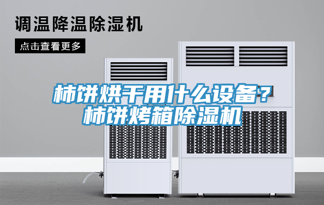 柿餅烘干用什么設(shè)備？柿餅烤箱除濕機(jī)