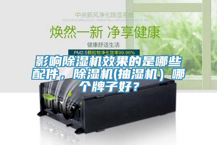 影響除濕機效果的是哪些配件，除濕機(抽濕機）哪個牌子好？