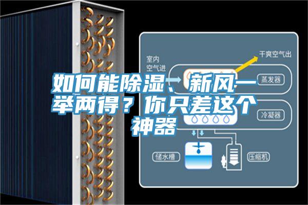 如何能除濕、新風(fēng)一舉兩得？你只差這個神器