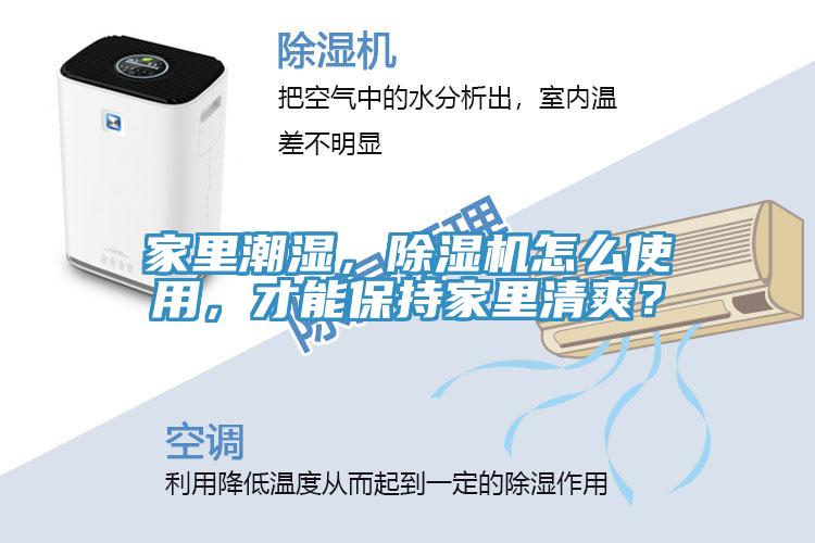 家里潮濕，除濕機(jī)怎么使用，才能保持家里清爽？