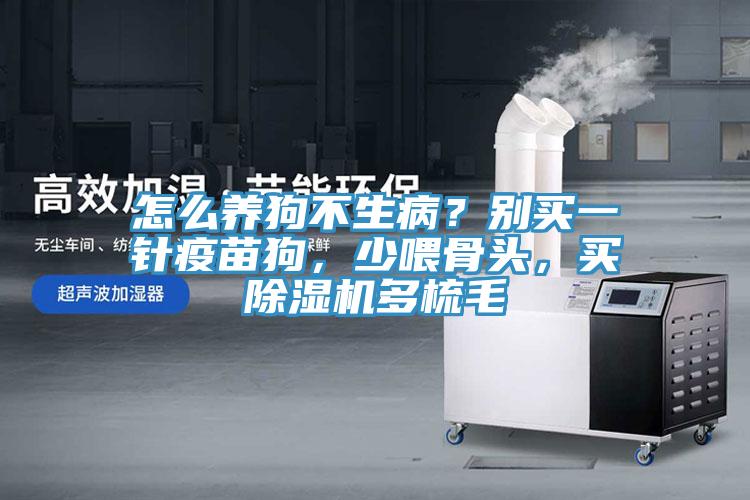 怎么養(yǎng)狗不生病？別買一針疫苗狗，少喂骨頭，買除濕機(jī)多梳毛