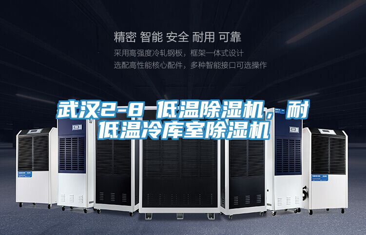武漢2-8℃低溫除濕機(jī)，耐低溫冷庫(kù)室除濕機(jī)