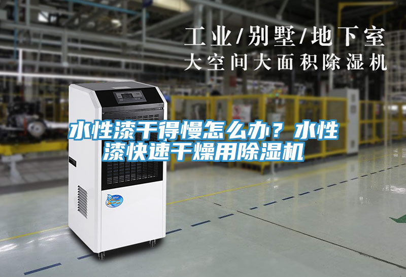 水性漆干得慢怎么辦？水性漆快速干燥用除濕機(jī)