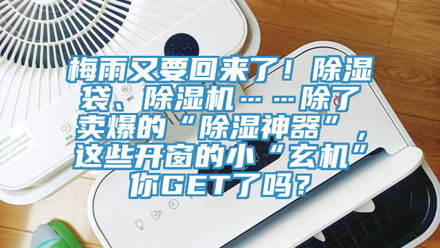 梅雨又要回來了！除濕袋、除濕機……除了賣爆的“除濕神器”，這些開窗的小“玄機”你GET了嗎？