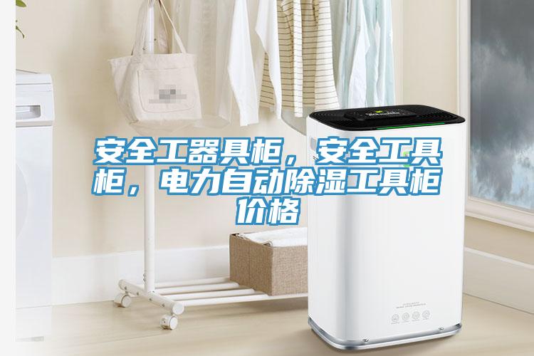 安全工器具柜，安全工具柜，電力自動除濕工具柜價格