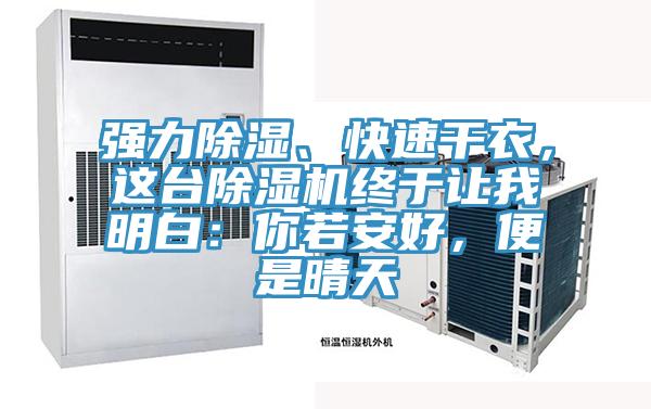強(qiáng)力除濕、快速干衣，這臺(tái)除濕機(jī)終于讓我明白：你若安好，便是晴天