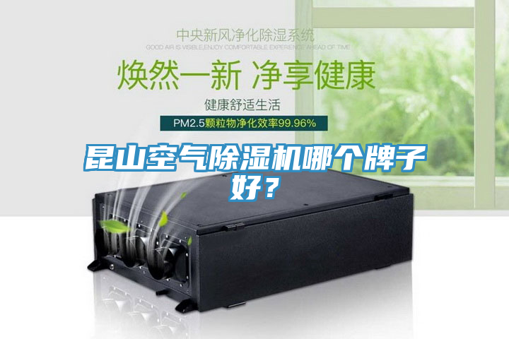 昆山空氣除濕機哪個牌子好？
