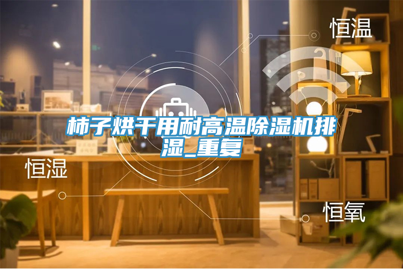 柿子烘干用耐高溫除濕機排濕_重復