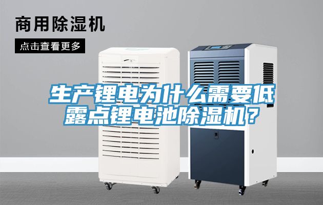 生產(chǎn)鋰電為什么需要低露點鋰電池除濕機(jī)？