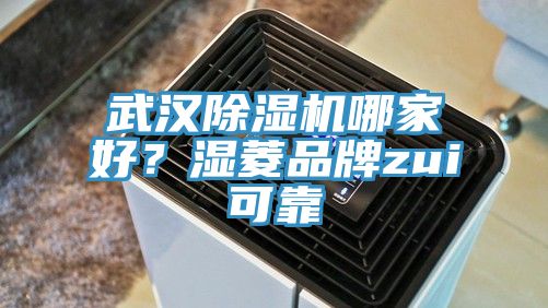 武漢除濕機(jī)哪家好？濕菱品牌zui可靠