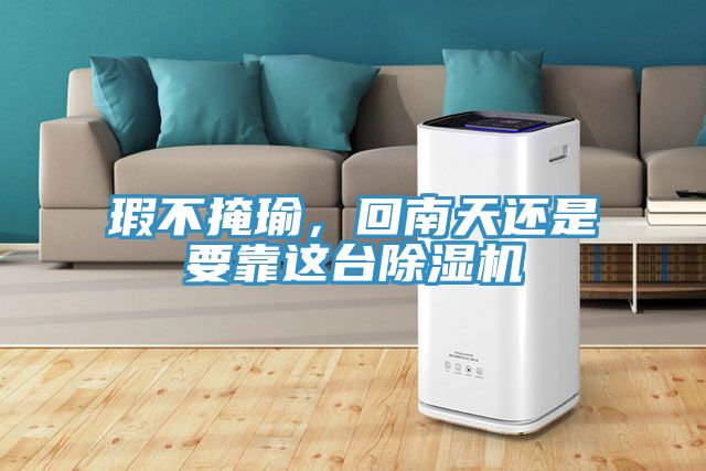 瑕不掩瑜，回南天還是要靠這臺(tái)除濕機(jī)