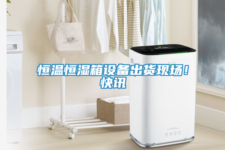 恒溫恒濕箱設(shè)備出貨現(xiàn)場！快訊