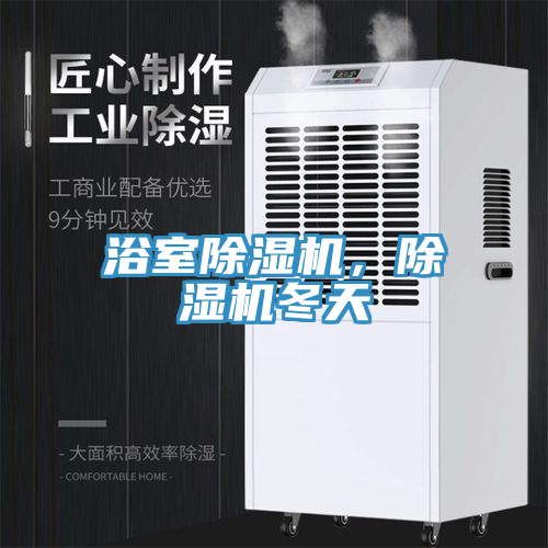浴室除濕機(jī)，除濕機(jī)冬天