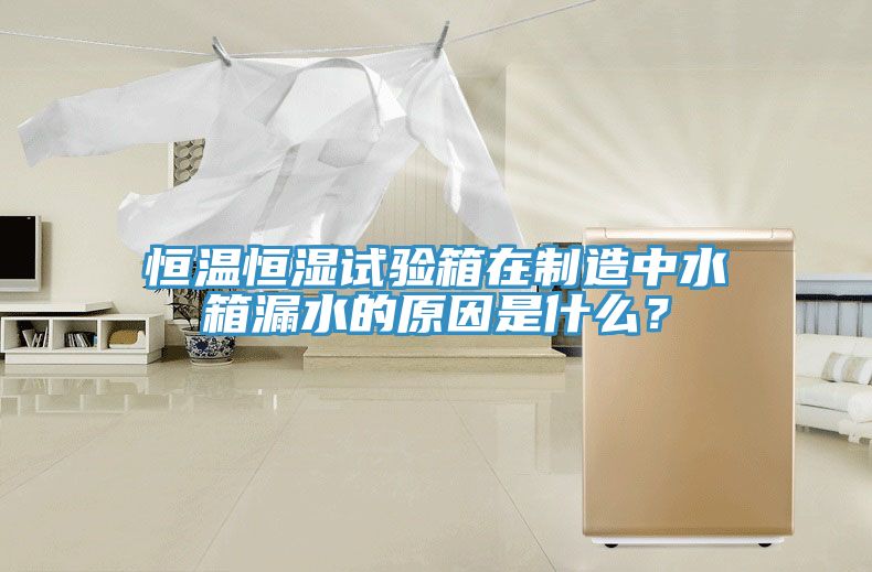 恒溫恒濕試驗(yàn)箱在制造中水箱漏水的原因是什么？