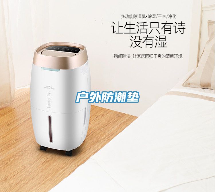 戶(hù)外防潮墊
