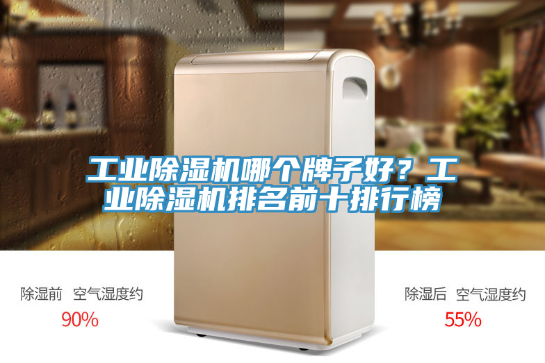 工業(yè)除濕機(jī)哪個(gè)牌子好？工業(yè)除濕機(jī)排名前十排行榜