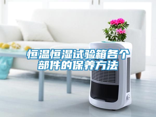 恒溫恒濕試驗(yàn)箱各個部件的保養(yǎng)方法