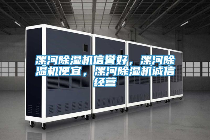 漯河除濕機(jī)信譽(yù)好，漯河除濕機(jī)便宜，漯河除濕機(jī)誠(chéng)信經(jīng)營(yíng)