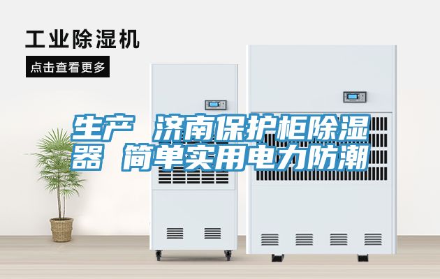生產(chǎn) 濟(jì)南保護(hù)柜除濕器 簡單實用電力防潮