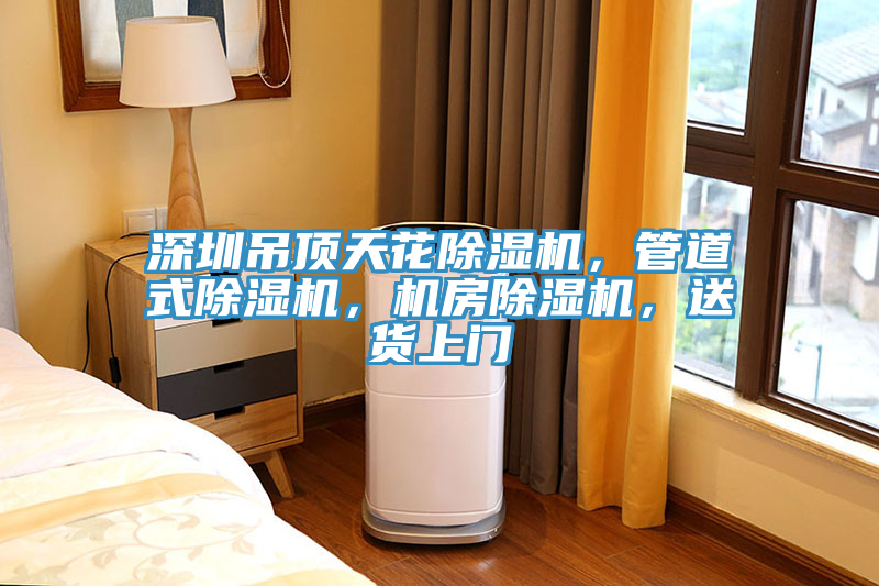 深圳吊頂天花除濕機(jī)，管道式除濕機(jī)，機(jī)房除濕機(jī)，送貨上門