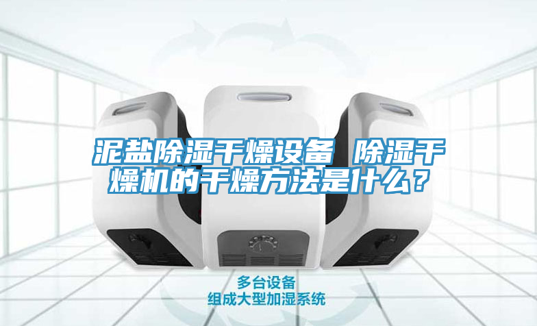 泥鹽除濕干燥設(shè)備 除濕干燥機(jī)的干燥方法是什么？