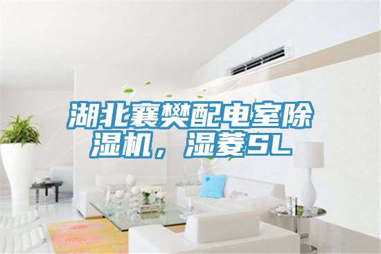 湖北襄樊配電室除濕機(jī)，濕菱SL