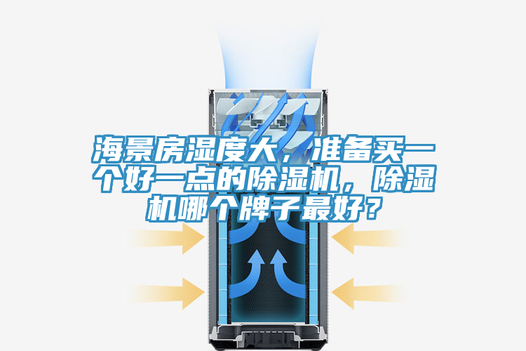 海景房濕度大，準(zhǔn)備買一個好一點(diǎn)的除濕機(jī)，除濕機(jī)哪個牌子最好？