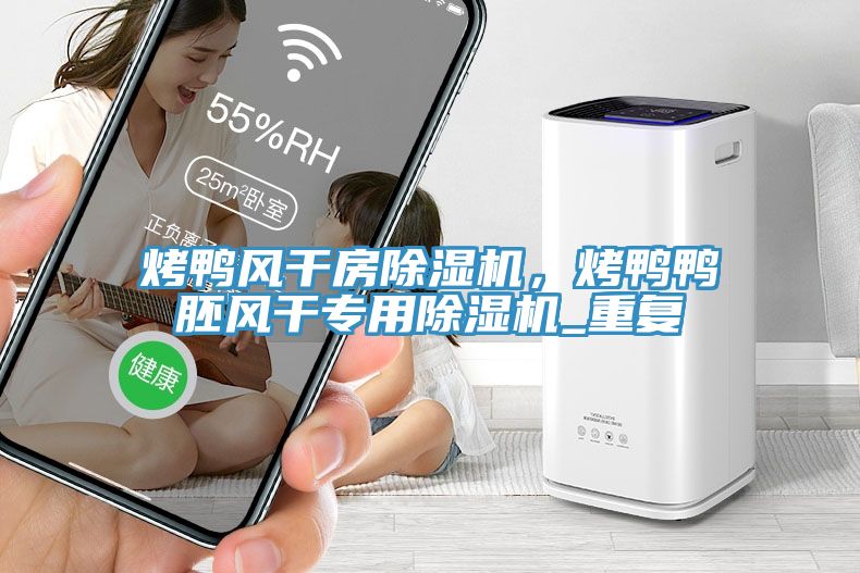 烤鴨風(fēng)干房除濕機(jī)，烤鴨鴨胚風(fēng)干專用除濕機(jī)_重復(fù)