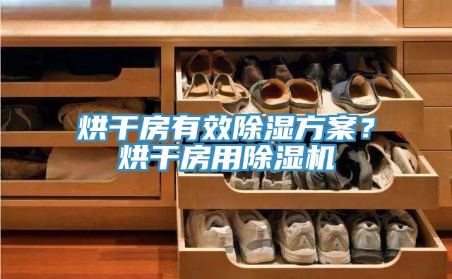烘干房有效除濕方案？烘干房用除濕機(jī)