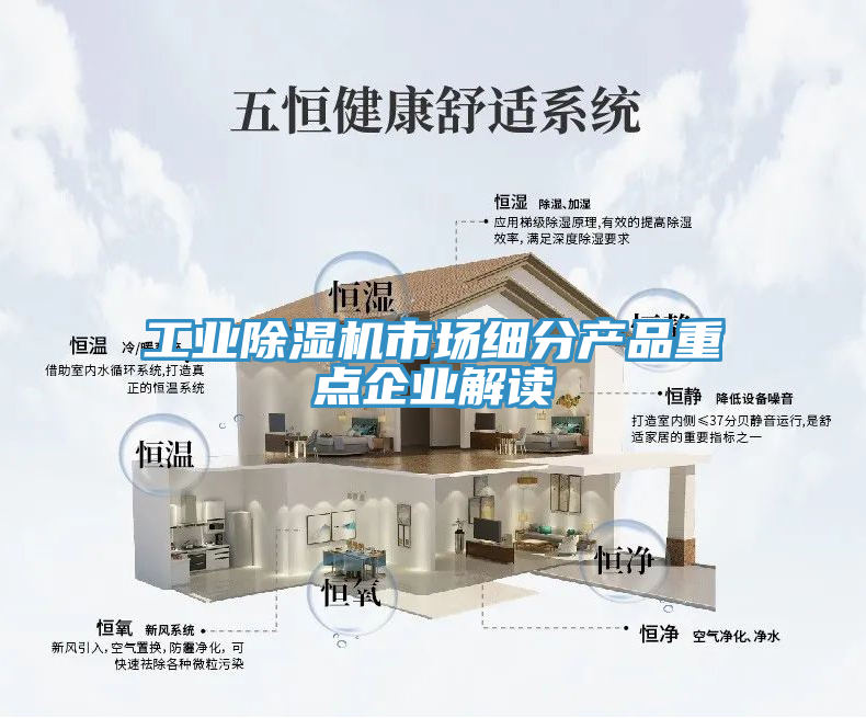 工業(yè)除濕機(jī)市場細(xì)分產(chǎn)品重點企業(yè)解讀