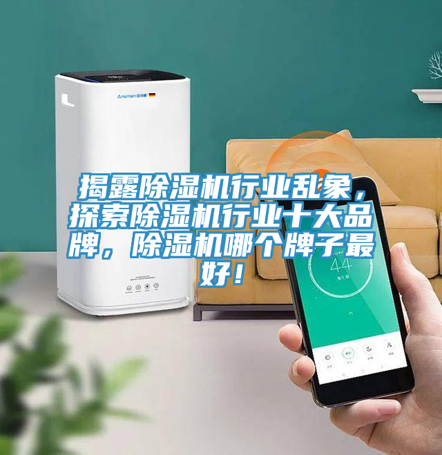揭露除濕機行業(yè)亂象，探索除濕機行業(yè)十大品牌，除濕機哪個牌子最好！