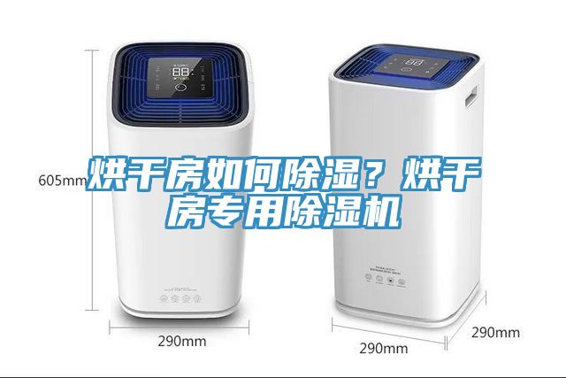 烘干房如何除濕？烘干房專(zhuān)用除濕機(jī)