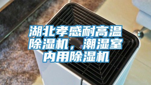 湖北孝感耐高溫除濕機(jī)，潮濕室內(nèi)用除濕機(jī)