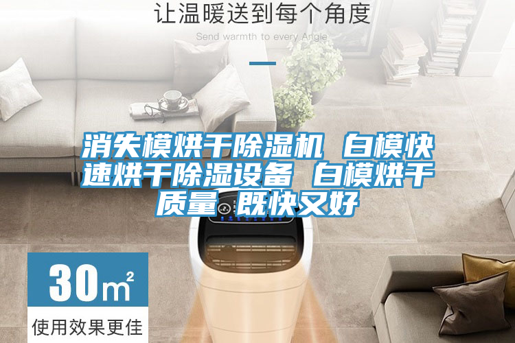 消失模烘干除濕機(jī) 白?？焖俸娓沙凉裨O(shè)備 白模烘干質(zhì)量 既快又好