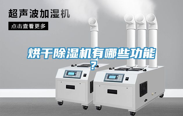 烘干除濕機有哪些功能？