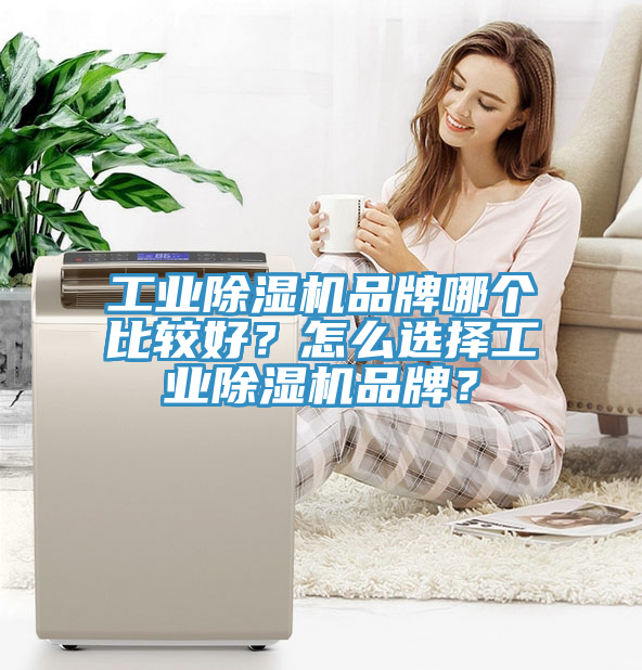 工業(yè)除濕機(jī)品牌哪個(gè)比較好？怎么選擇工業(yè)除濕機(jī)品牌？