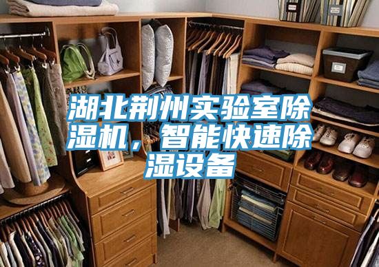 湖北荊州實(shí)驗(yàn)室除濕機(jī)，智能快速除濕設(shè)備