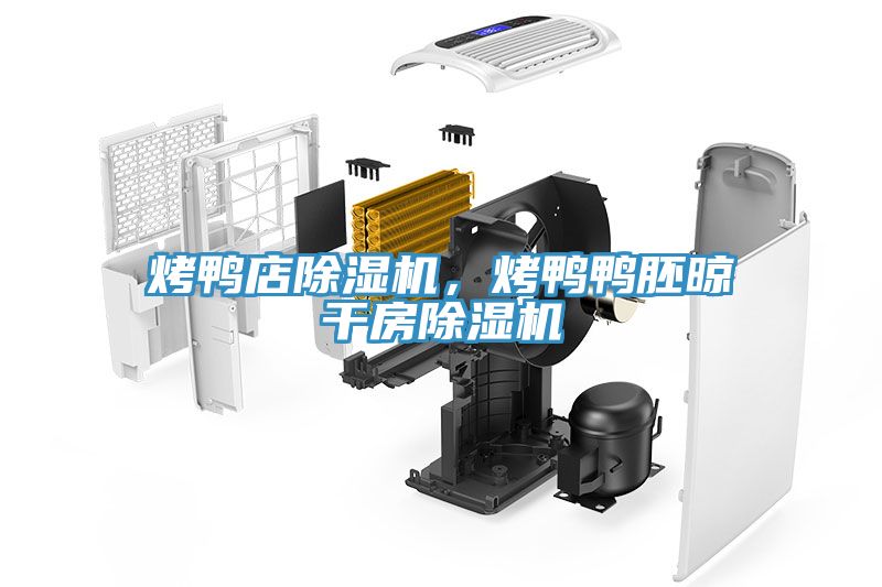 烤鴨店除濕機(jī)，烤鴨鴨胚晾干房除濕機(jī)