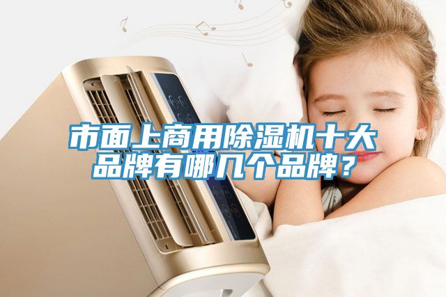 市面上商用除濕機十大品牌有哪幾個品牌？