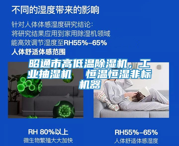 昭通市高低溫除濕機(jī)，工業(yè)抽濕機(jī)  恒溫恒濕非標(biāo)機(jī)器