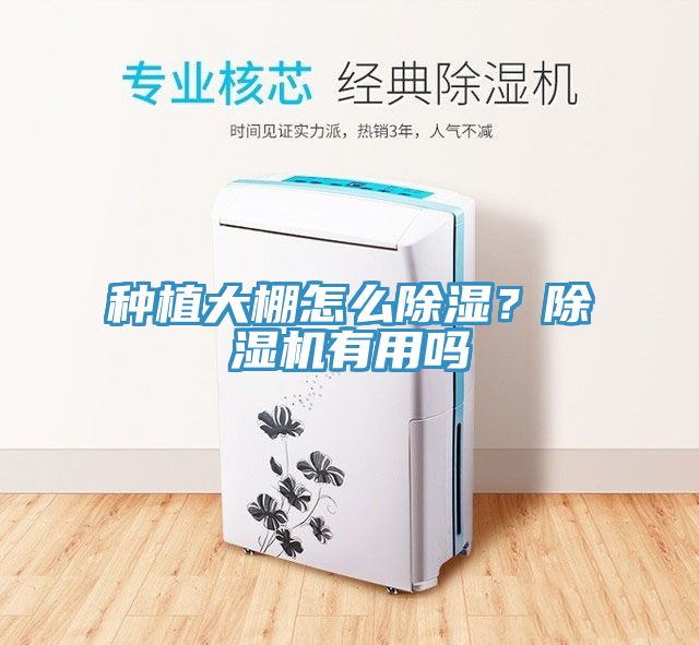 種植大棚怎么除濕？除濕機有用嗎