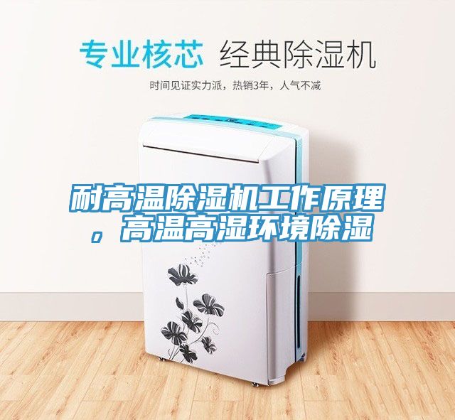 耐高溫除濕機(jī)工作原理，高溫高濕環(huán)境除濕