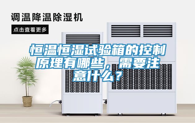 恒溫恒濕試驗(yàn)箱的控制原理有哪些，需要注意什么？
