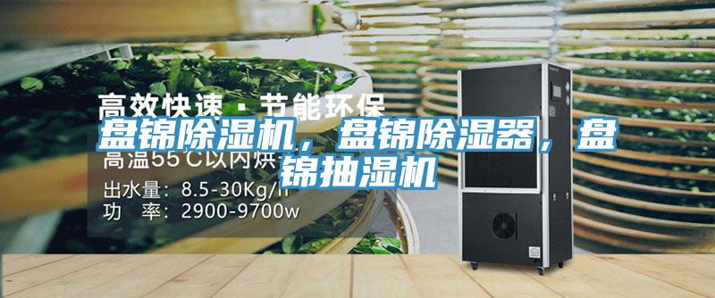 盤錦除濕機，盤錦除濕器，盤錦抽濕機