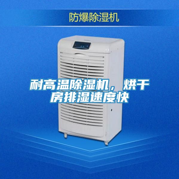 耐高溫除濕機(jī)，烘干房排濕速度快
